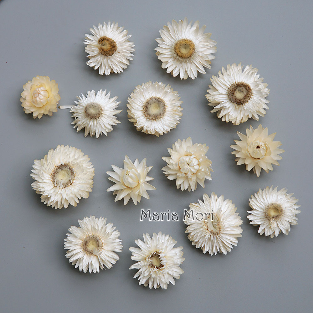 เครื่องประดับผมแฮนด์เมดทำจากพว - Candle Making Diy บทวิจารณ์และราคา